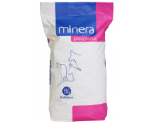 Minera Phosphorus